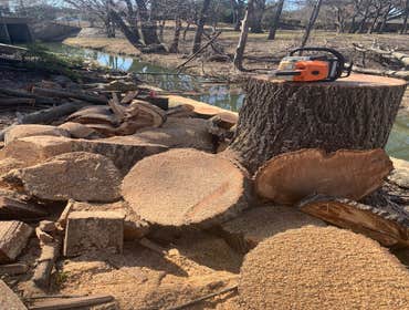 Photos by K-perez Tree Services #1
