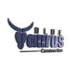 Blue Taurus Construction logo