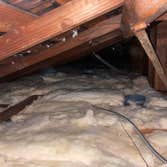 Savings First Attic Insulation