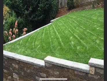 Photos by Danis Brick Paver & Landscaping LLC #1