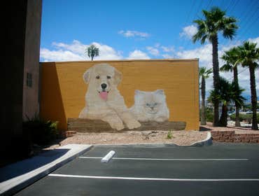 Zees Artistries Llc Dba Project Murals, Faux finishes and kids rooms!