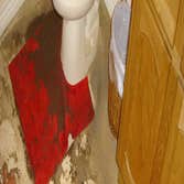 Sewage Cleanup