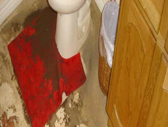 Sewage Cleanup