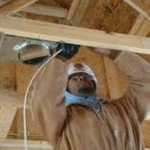 Electrical Connection
