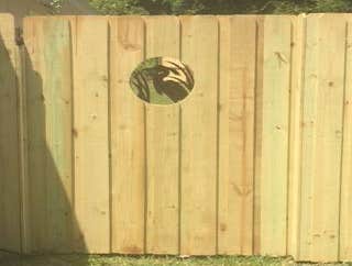 Fences