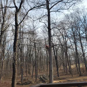Photos by Spring Hill Landscaping Inc #5
