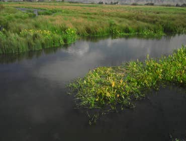 Kelson, Cardon, Ogden River Restoration & Wetland The Kelson Estate Landscape, Cardon Pond construction, Cache Valley Wetland Restoration and the Ogde