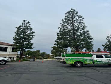 Photos by California Green Tree Care #1