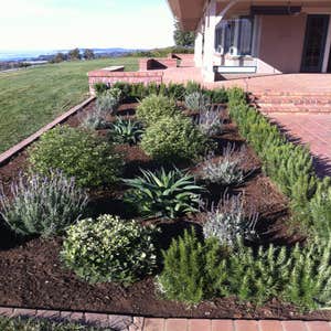 Photos by Foothill Nursery & Landscape Inc #1