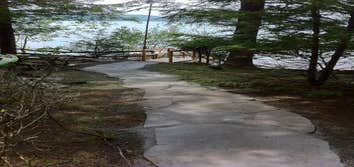 Photos from Pinnacle Landscaping