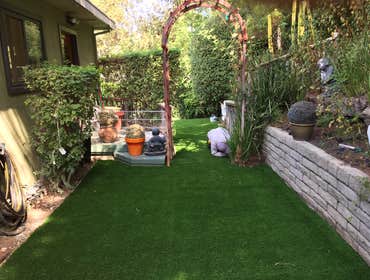 Drought tolerant landscaping