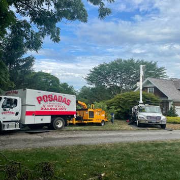 Photos by Posadas Landscaping LLC #1