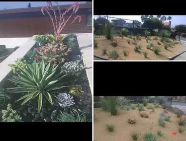 Photos by R&j Landscaping and Paver #9