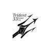 Trident 33 Development Group (nj - Hic) logo