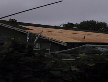 Seattle New Plywood