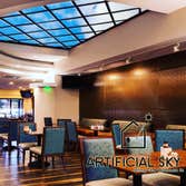 Artificial Sky
