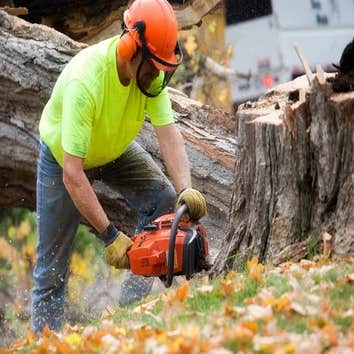 Photos by Electric City Tree Service #1