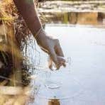 All Clear Environmental Services, LLC