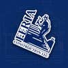 Feria Construction LLC logo
