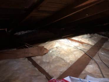 Attic cleaning & insulation - Pacoima