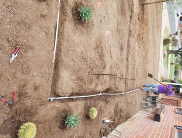 Photos from Divine Desert Landscape LLC