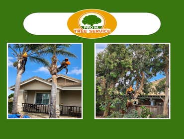 Photos by Pro M Tree Service #51