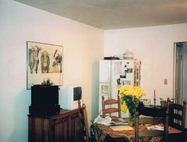 Kitchens by Marinich