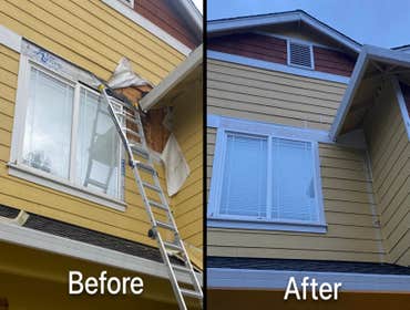Dryrot repairs