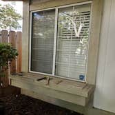 APS Painting Inc
