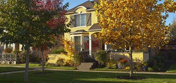Photos from General Tree Service