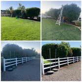 Arc Landscaping & More LLC