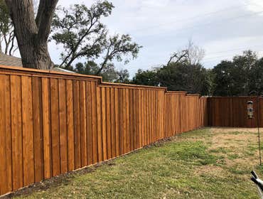 Fence and Pergola