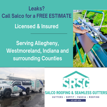 Salco Roofing and Seamless Gutters LLC