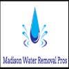 Madison Water Removal Pros logo