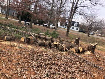 Photos by Solis Landscaping Services #1