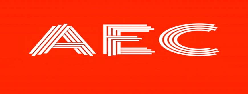 American Elite Contractors Inc