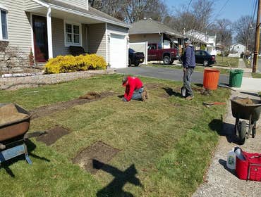 Photos from Pasteles Landscaping Co