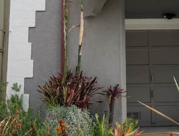 Cervantes Blvd Home Remodel