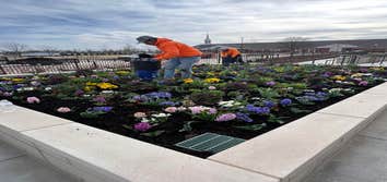 Photos by Legion Lawn and Landscape #1