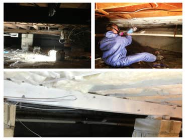 Crawlspace Mold Remediation