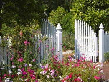 Fences
