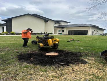 Photos by Contreras Tree Services #36