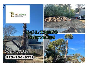Photos by Ccl Trees Services #1