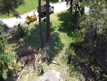 Photos by Arbor King Tree Service LLC #1