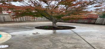 Photos by Brodt Construction #2
