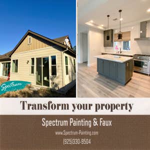 Spectrum Painting & Faux