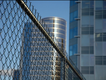 Chain Link
