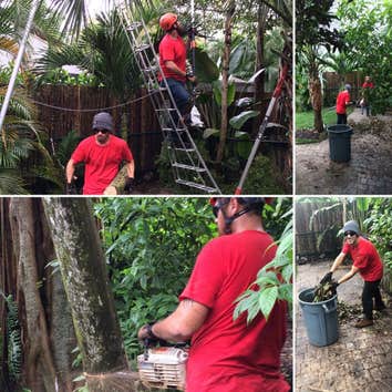 Photos by Lumberjack Jake’s South Florida Tree Service #1