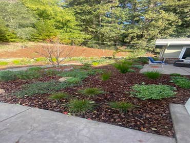 Photos by Sam´s Garden Maintenance Service #1