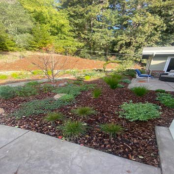 Photos by Sam´s Garden Maintenance Service #1